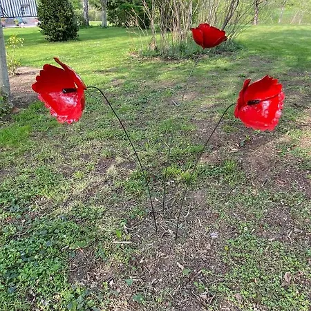 Le Torcopel Affittacamere Grangues